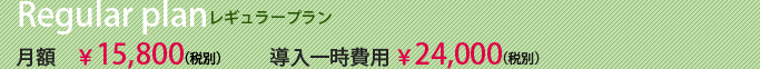 レギュラープラン